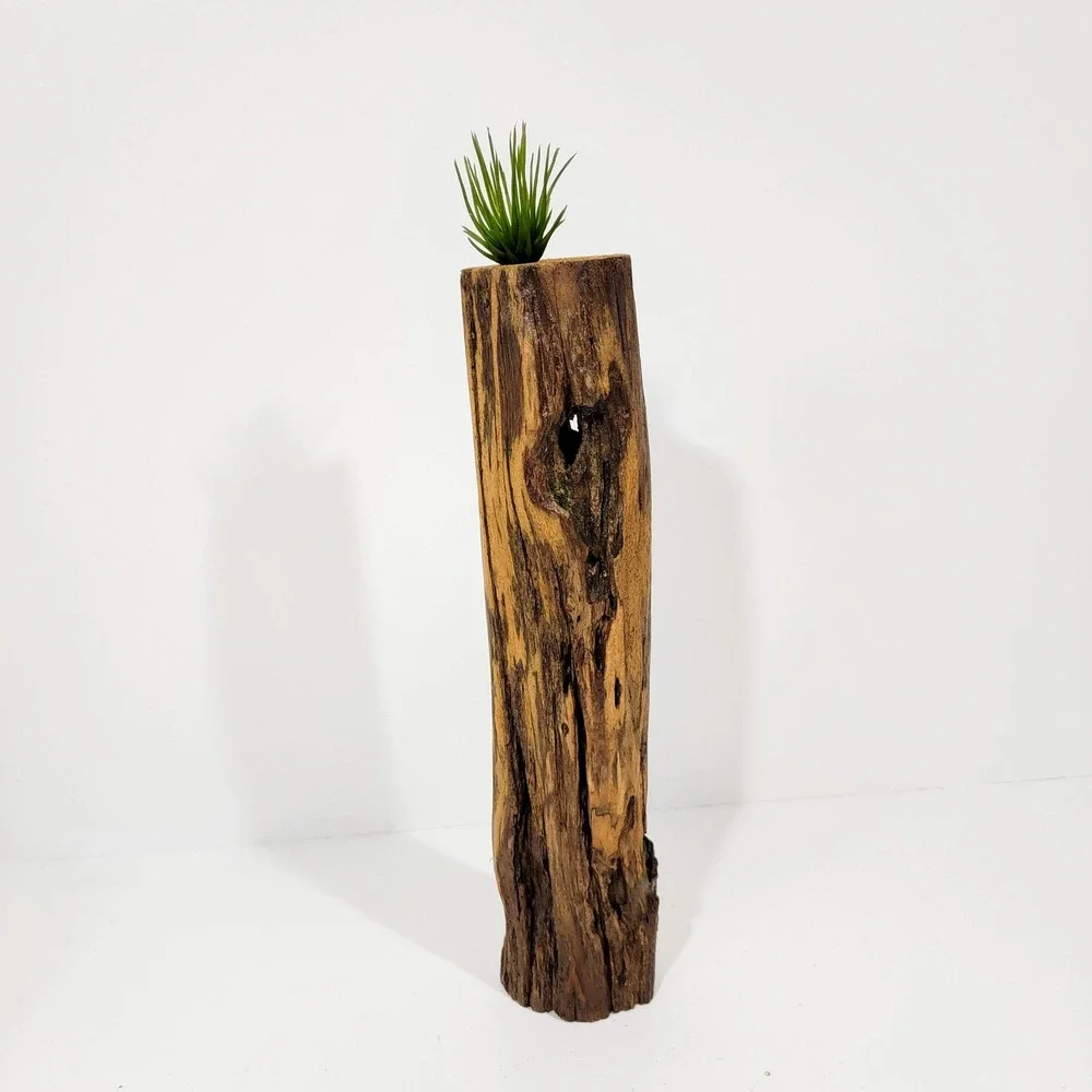 Natural Driftwood Log Air Plant Holder Rustic Wood Succulent Planter Decor
